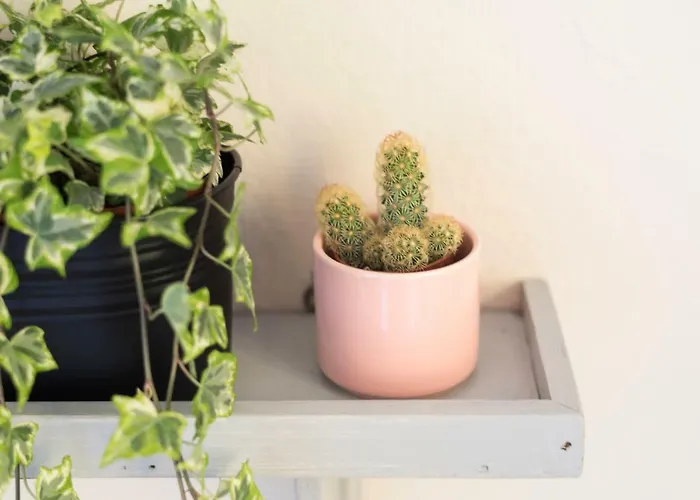 בית נופש D'ouro *