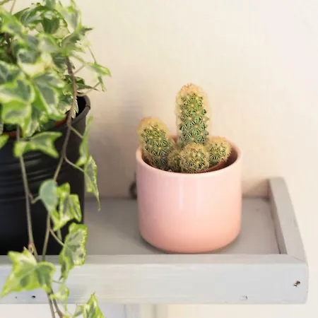 Casa vacanze D'ouro *